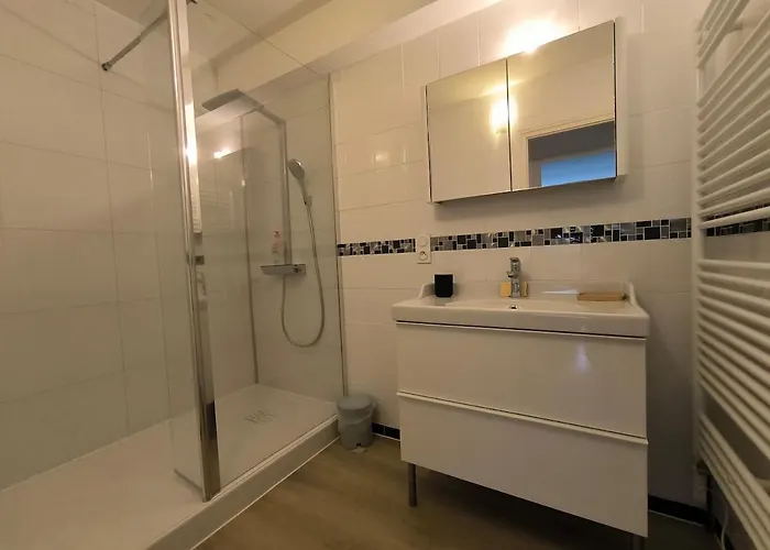 Spacious Quiet Pyrenees View Garage Appartement *